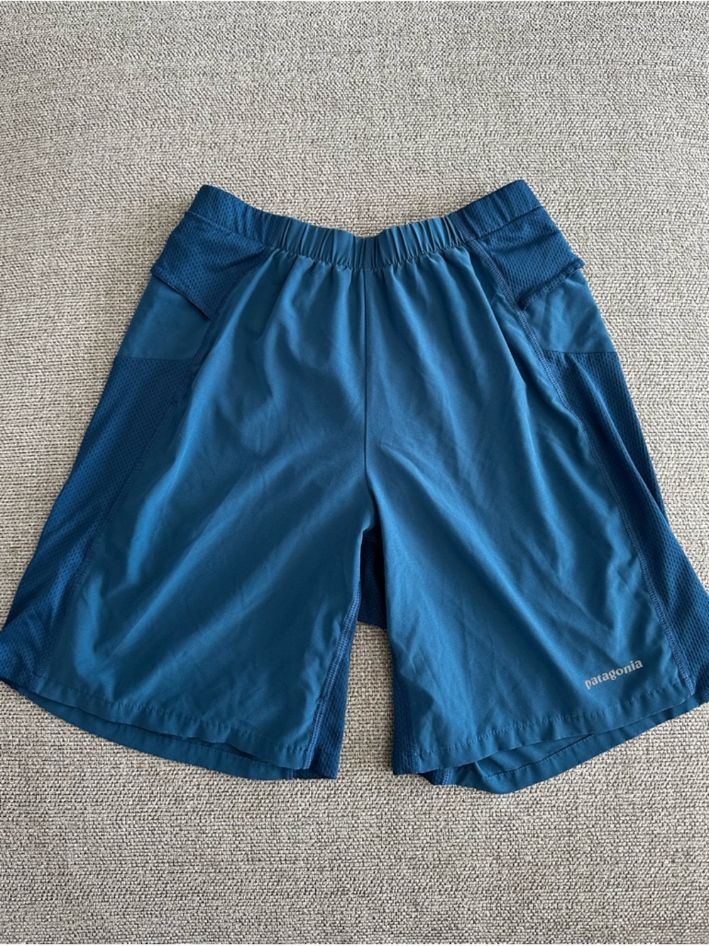 Patagonia Men’s Blue Athletic Shorts Size Small